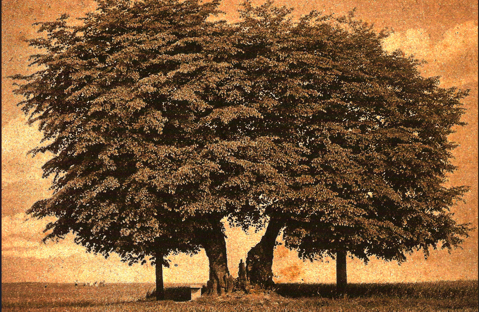 Drei-Linden-Fest | Schloss Rurich